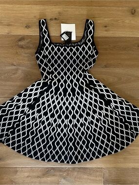 NWT Maje Russel Graphic Skater Dress